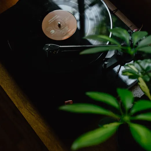 Vinyl spinning with a plant in the frame